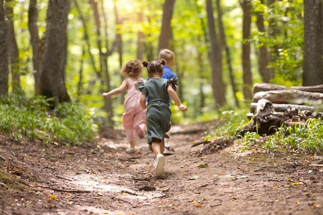 Cosa fare a Dimaro con i bambini