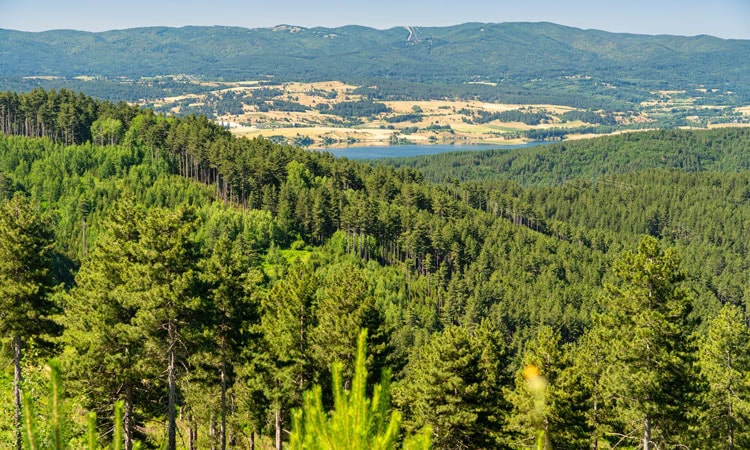 Parco Nazionale della Sila, escursioni per bambini in Calabria