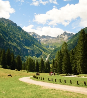 Family Hotel Trentino Alto Adige: La lista dei Migliori 35 Alberghi